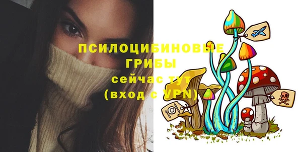 соль ск Алексин