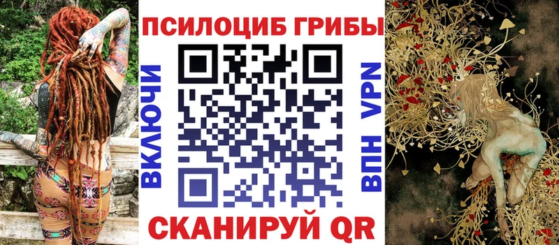 Галлюциногенные грибы Cubensis  дарнет шоп  Лабытнанги 